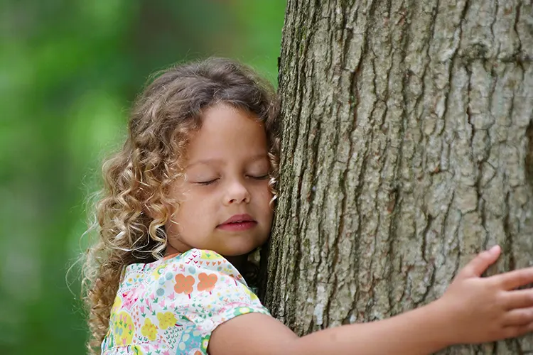 arbol de la vida